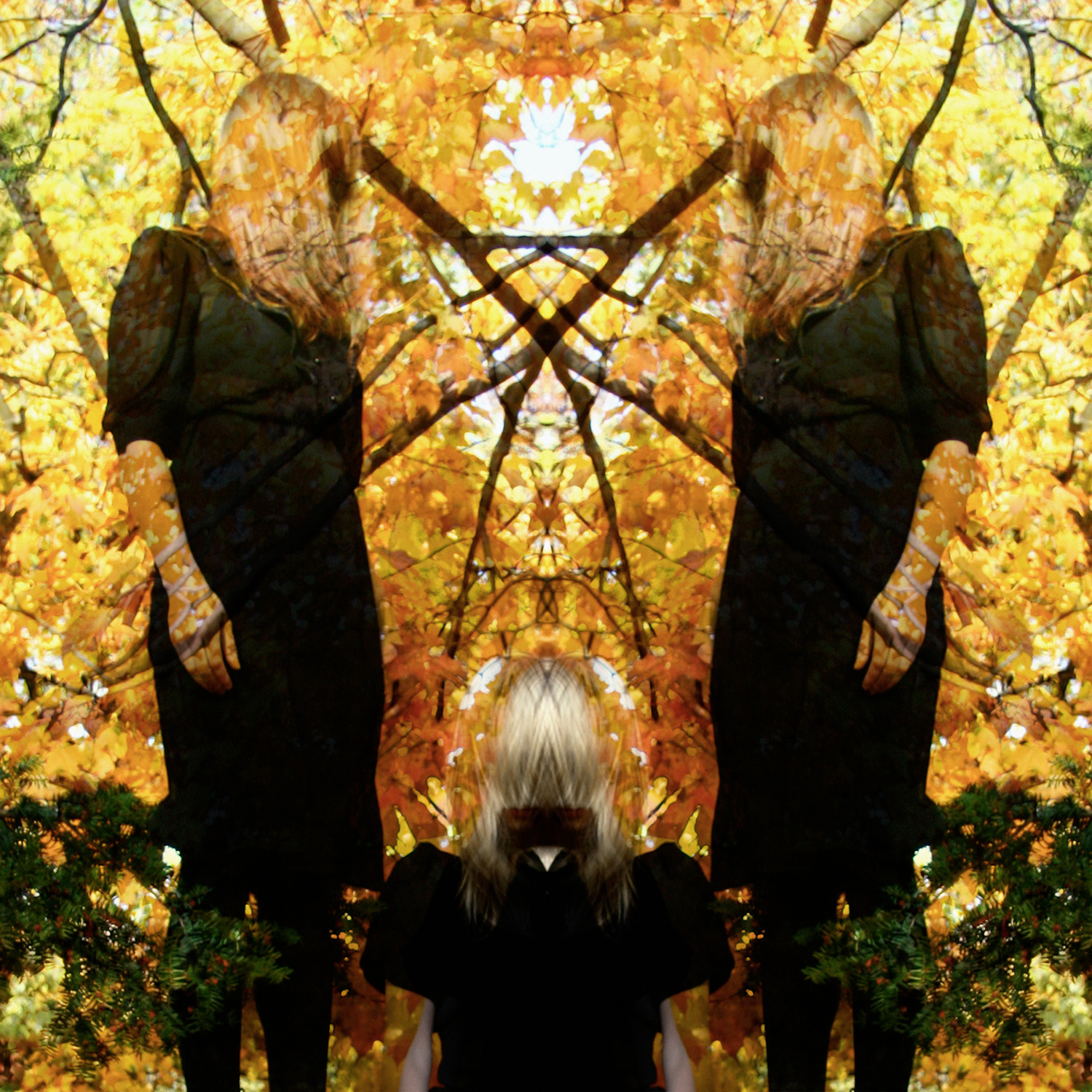 Austra | Feel It Break - CD