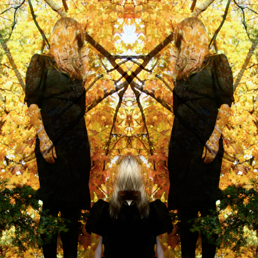 Austra | Feel It Break - CD