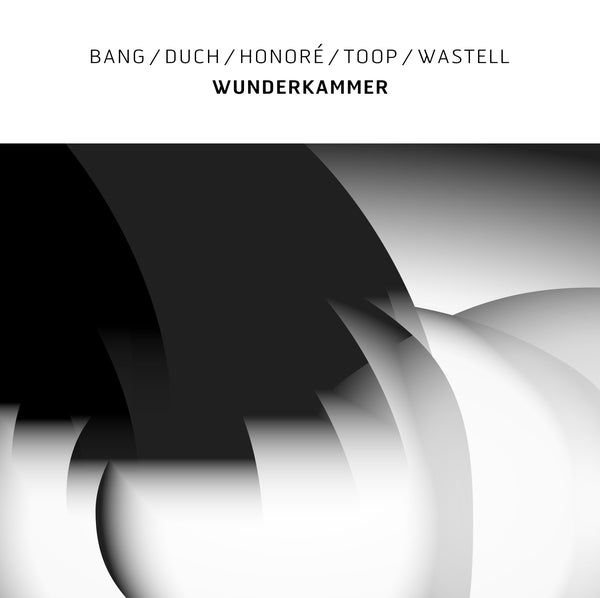 Bang/Duch/Honore/Toop/Wastell | Wunderkammer - Vinyl
