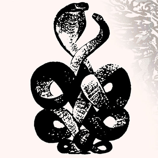Bardo Pond | Volume 4 & 5 - Vinyl