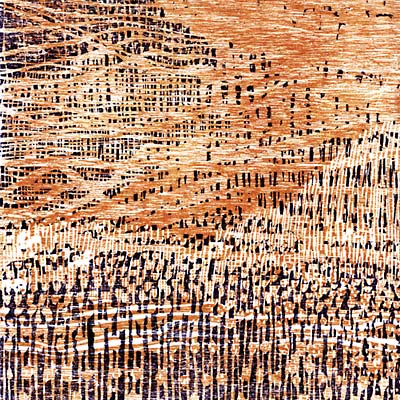 BARRY ANDREWSIN DISKO | Kuka siella? - CD