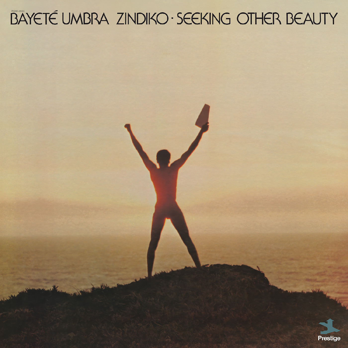 Bayeté Umbra Zindiko | Seeking Other Beauty (All-Analog) (Plasma Vinyl) - Vinyl