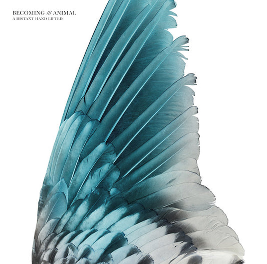 BECOMING ANIMAL | A Distant Hand Lifted - Vinyl