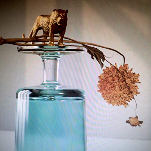Beirut | Gallipoli (Indie Exclusive) - Vinyl