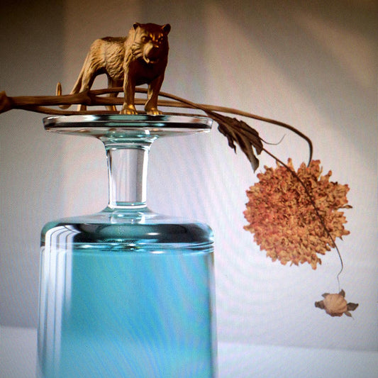 Beirut | Gallipoli - CD