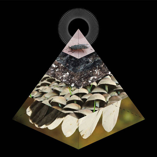 BELUS | Apophenia - Vinyl