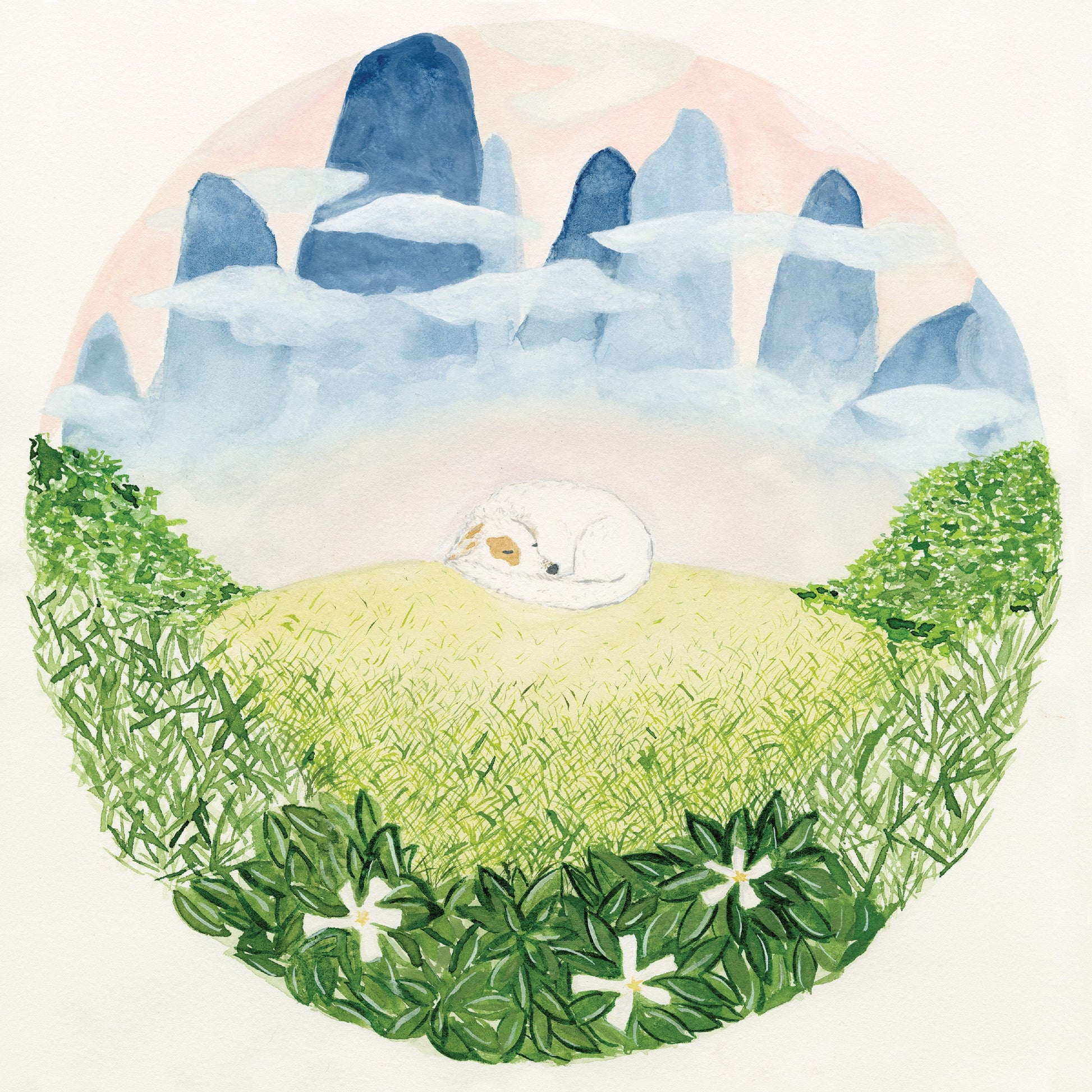 Ben Hackett | Songs For Sleeping Dogs - Vinyl