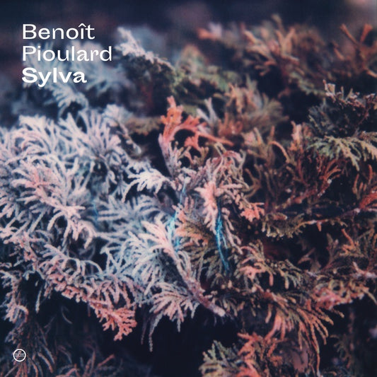 BENOIT PIOULARD | Sylva - Vinyl