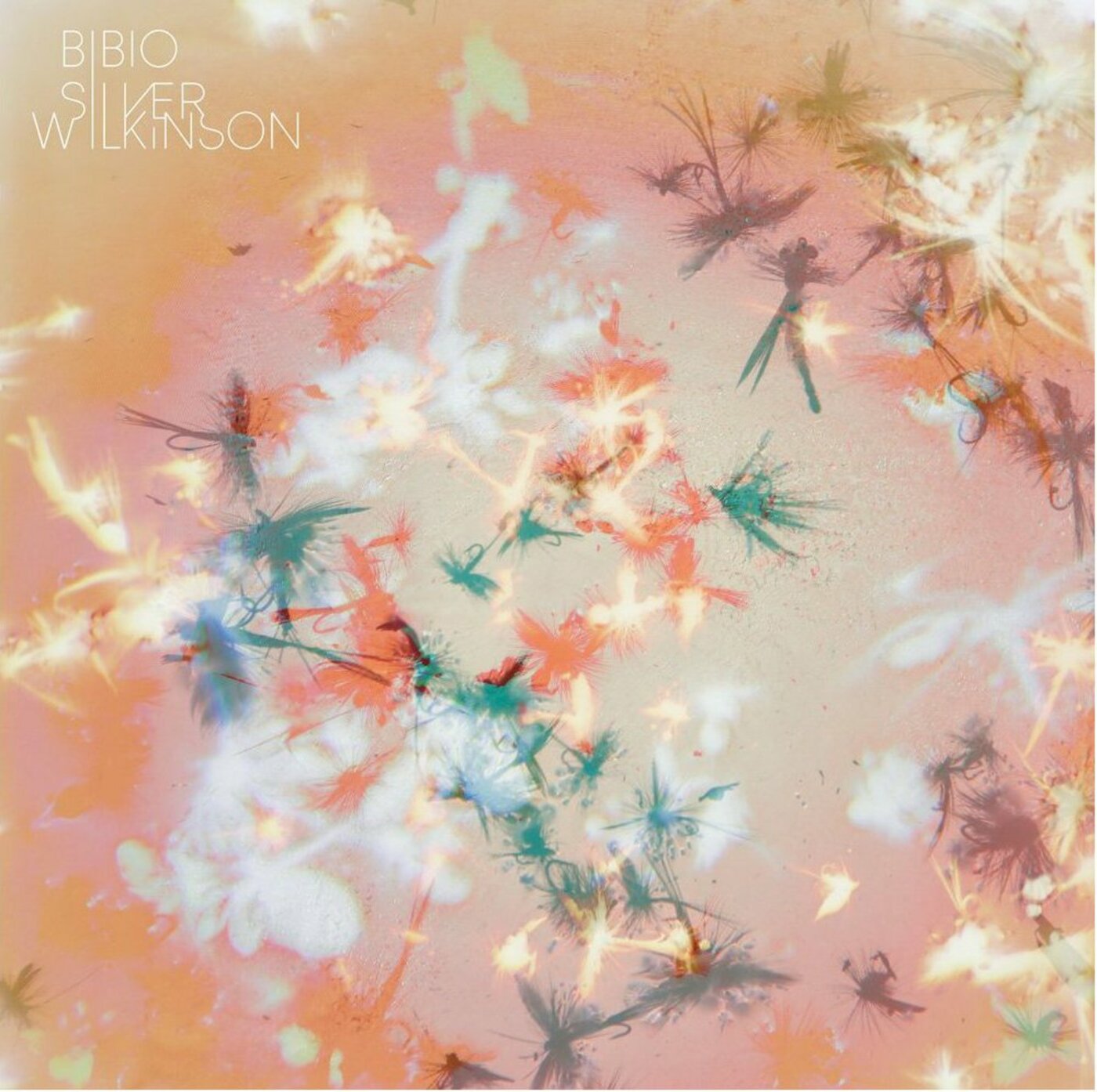 Bibio | Silver Wilkinson - CD