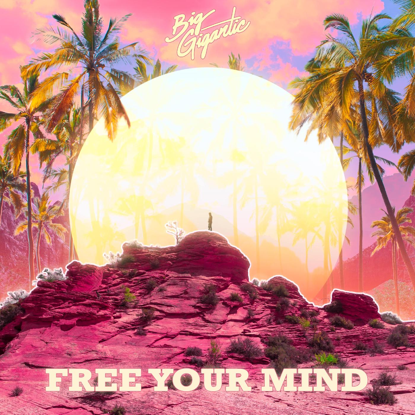 Big Gigantic | Free Your Mind - CD