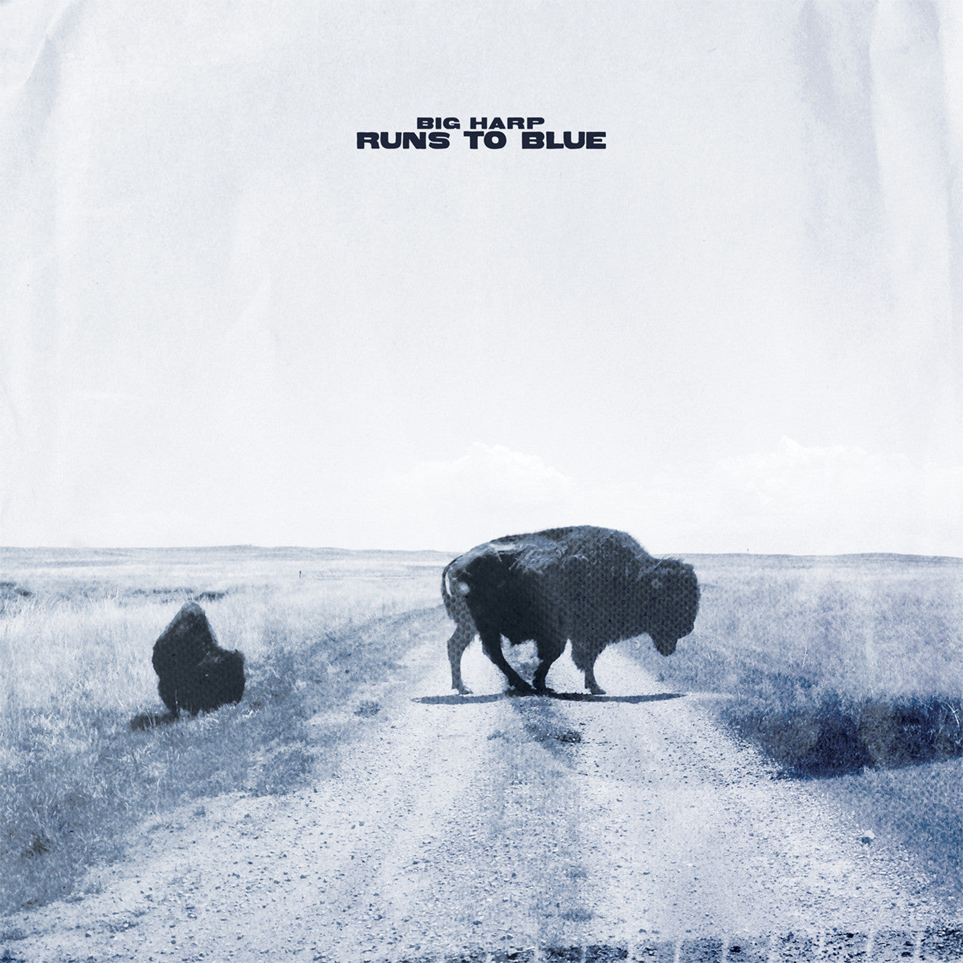 Big Harp | Runs To Blue (Opaque Blue Vinyl) - Vinyl
