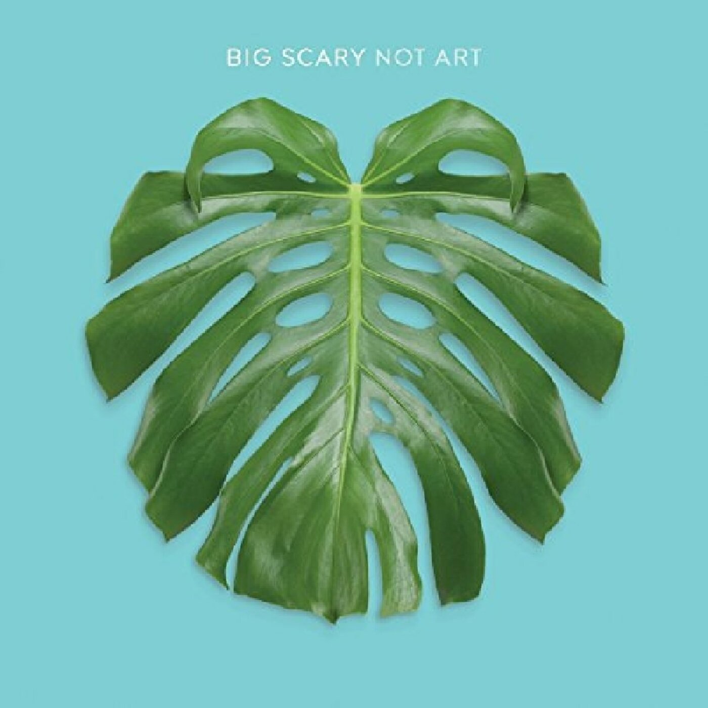 Big Scary | Not Art - Vinyl