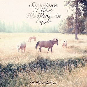 Bill Callahan | Sometimes I Wish We Were an Eagle - Vinyl
