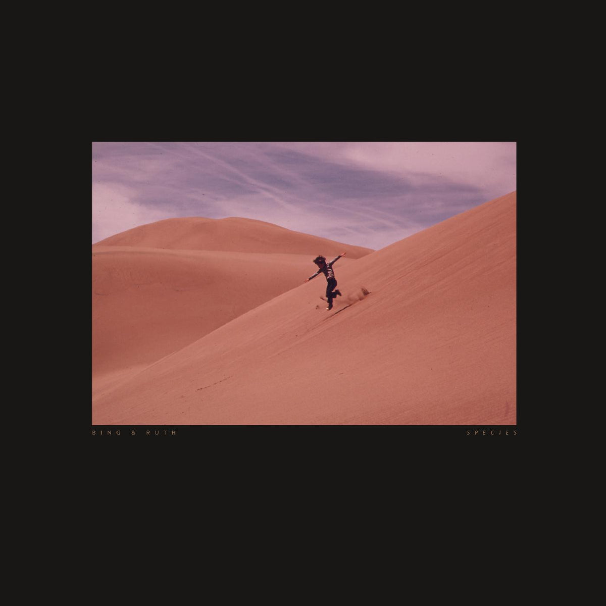 Bing & Ruth | Species - Vinyl