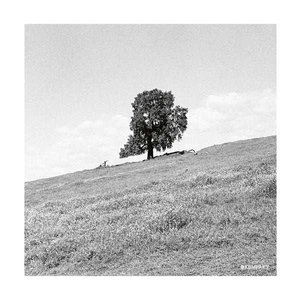 BLANK GLOSS | Cornered - CD