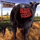 Blink 182 | DUDE RANCH - CD