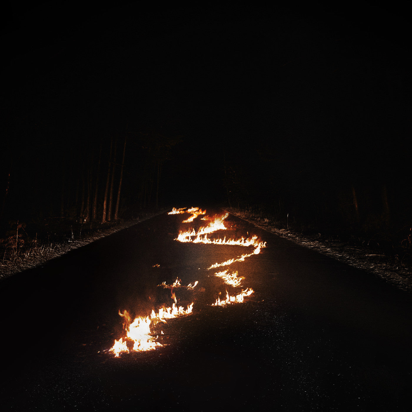 Bob Moses | Battle Lines (Indie Exclusive, Clear Vinyl) - Vinyl