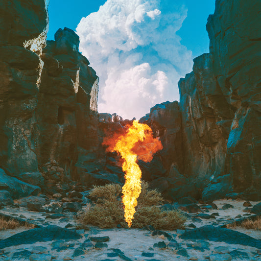 Bonobo | Migration - CD