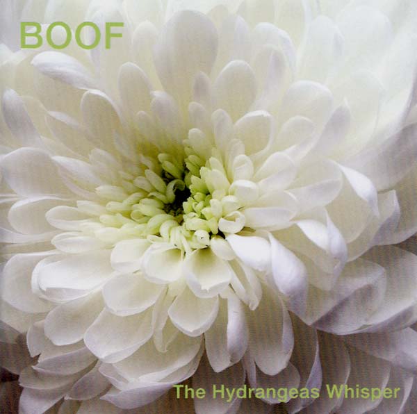 BOOF | The Hydrangeas Whisper - CD