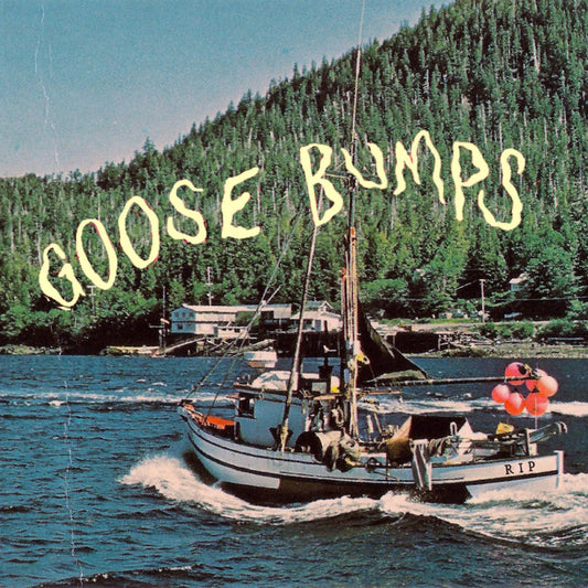 Boyscott | Goose Bumps - CD