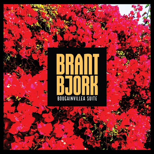 BRANT BJORK | Bougainvillea Suite - Vinyl