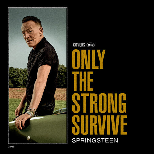 Bruce Springsteen | Only The Strong Survive (Gatefold LP Jacket, Poster, 140 Gram Vinyl, Etched Vinyl) (2 Lp's) - Vinyl