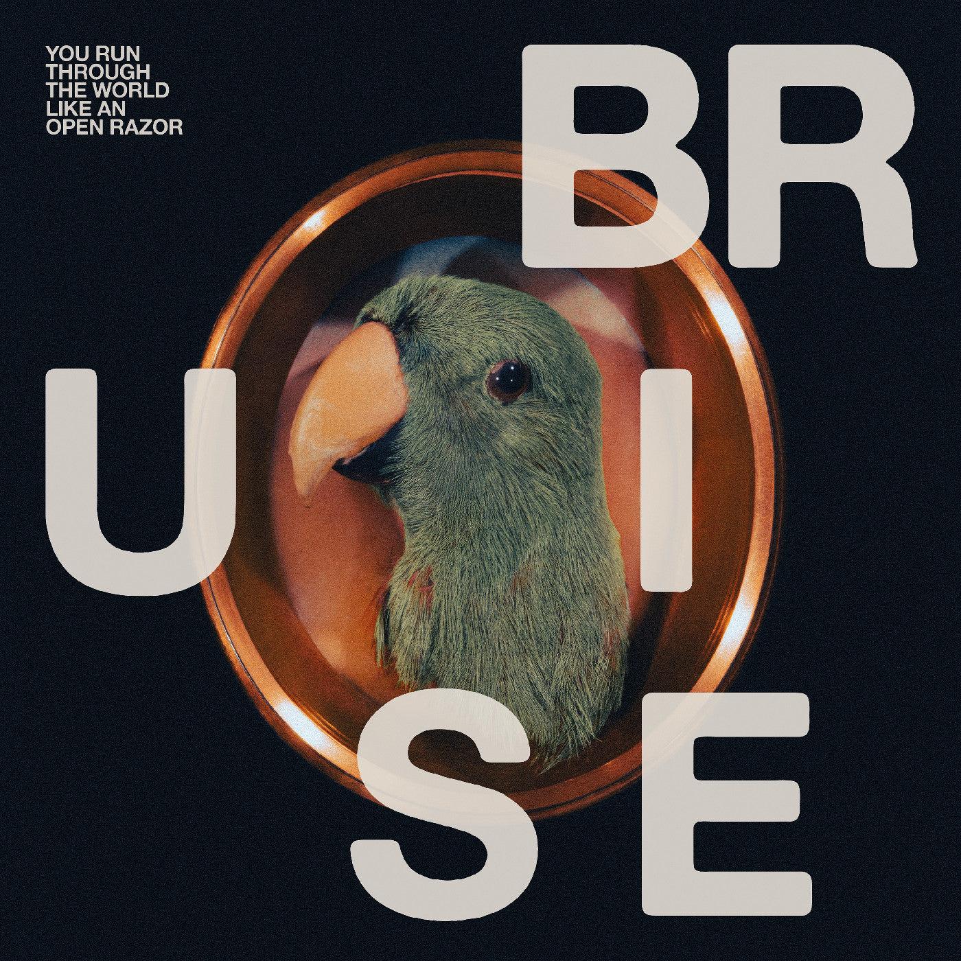 Bruise Blood | You Run Through The World Like An Open Razor - Vinyl