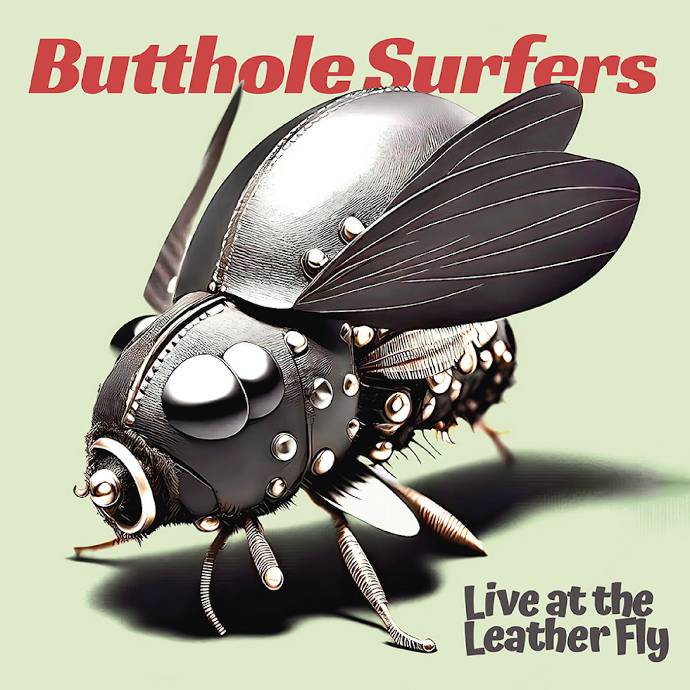 Butthole Surfers | Live At The Leather Fly - CD