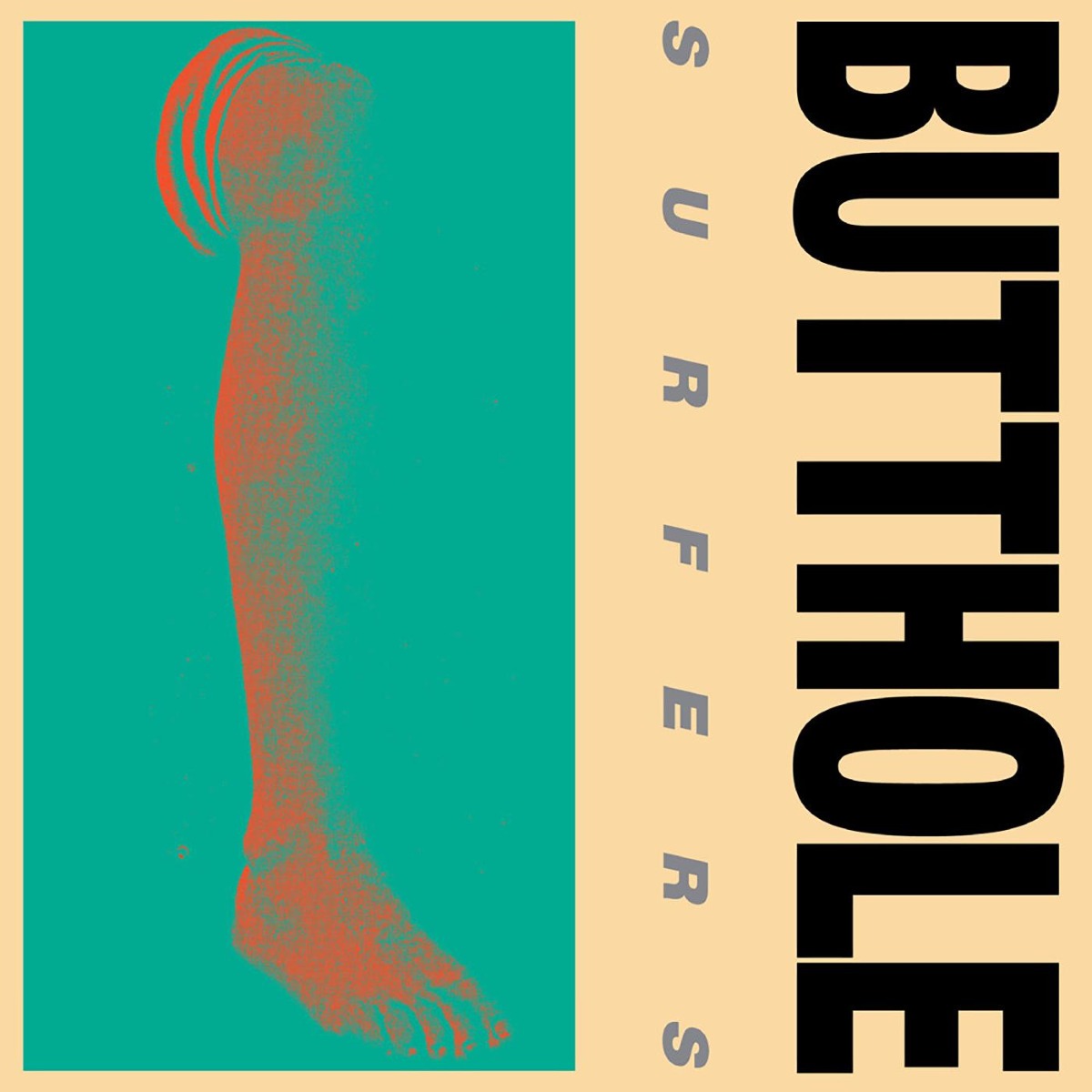 Butthole Surfers | Rembrandt Pussyhorse - Vinyl