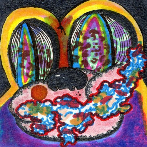 Cage The Elephant | Thank You, Happy Birthday - Vinyl