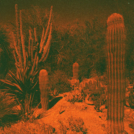 Cameron & Eli Winter Knowler | Anticipation (Indie Exclusive Purple Vinyl) - Vinyl