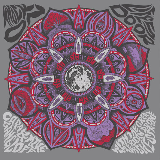 CARA & MIKE GANGLOFF WITH THE GREAT AMERICAN DRONE | Knock on Life's Door - Vinyl