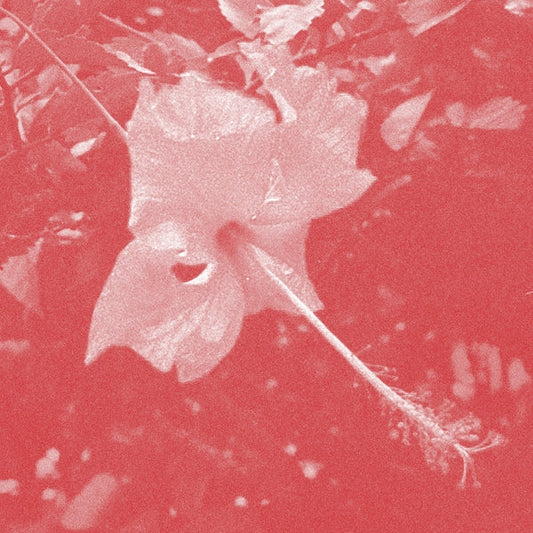 CELER | Poulaine [CD] - CD