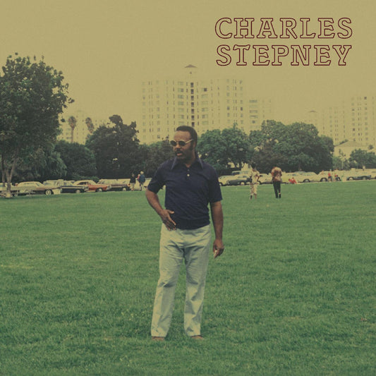Charles Stepney | Step on Step - Vinyl