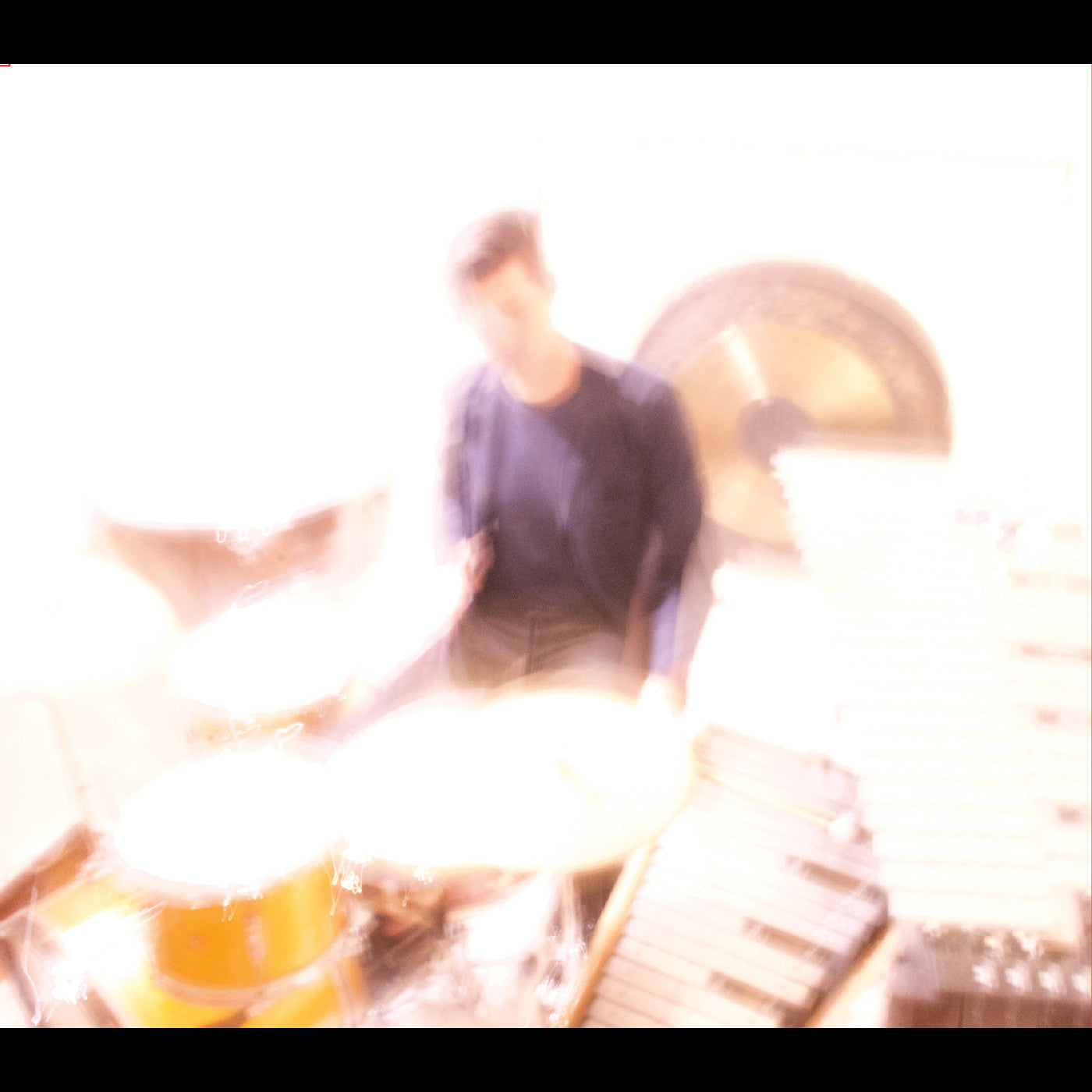 Ches Smith | The Self - CD