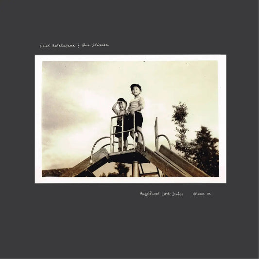 Chihei Hatakeyama & Shun Ishiwaka | Magnificent Little Dudes Vol.1 - Vinyl