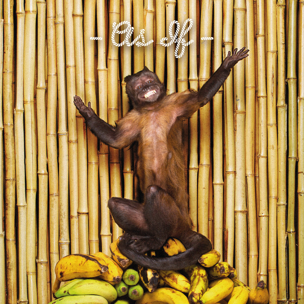 !!! (Chk Chk Chk) | As If - CD
