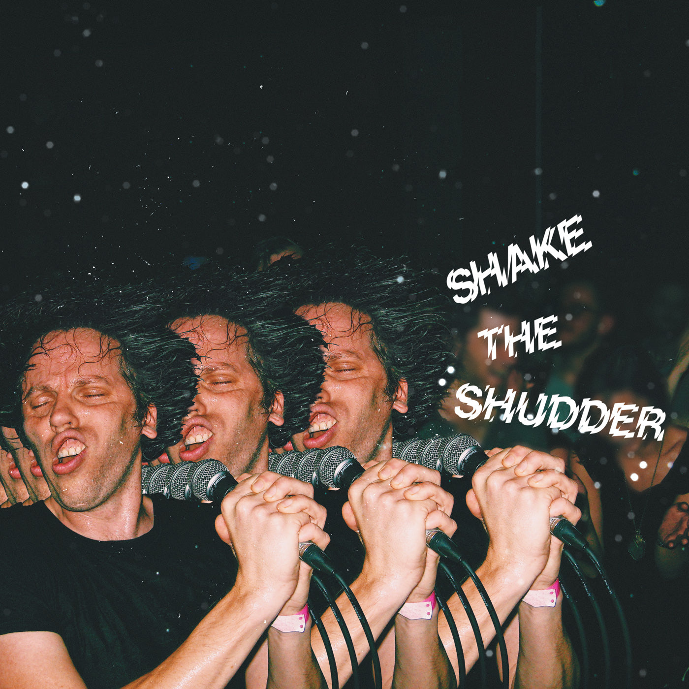 !!! (Chk Chk Chk) | Shake The Shudder - CD