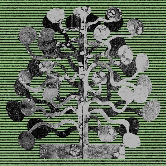 CHURCH ANDREWS & MATT DAVIES | Yucca - Vinyl