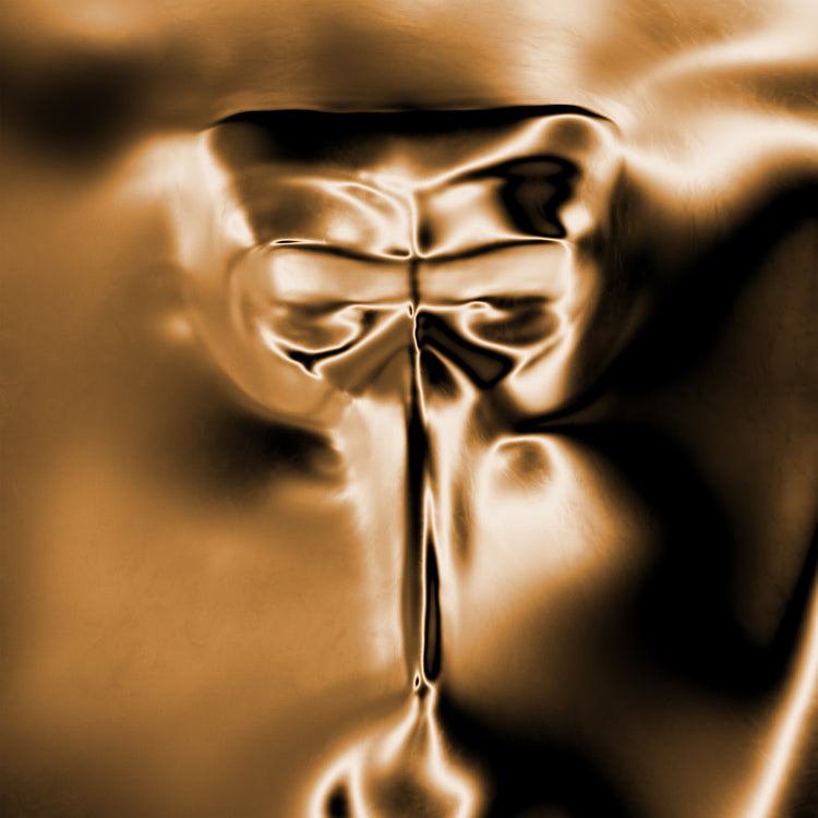Claptone Wanderer (Indie Exclusive) [Black & Gold Nebula Vinyl]