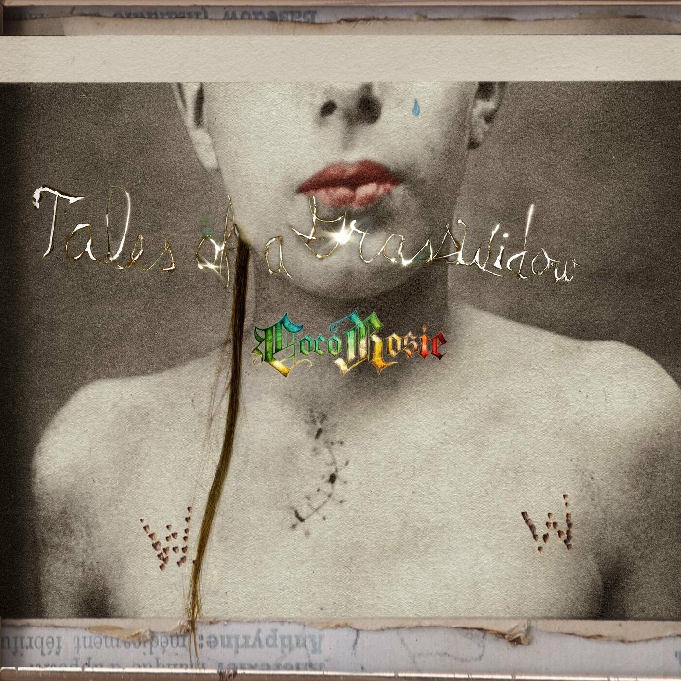 CocoRosie | Tales Of A GrassWidow - Vinyl