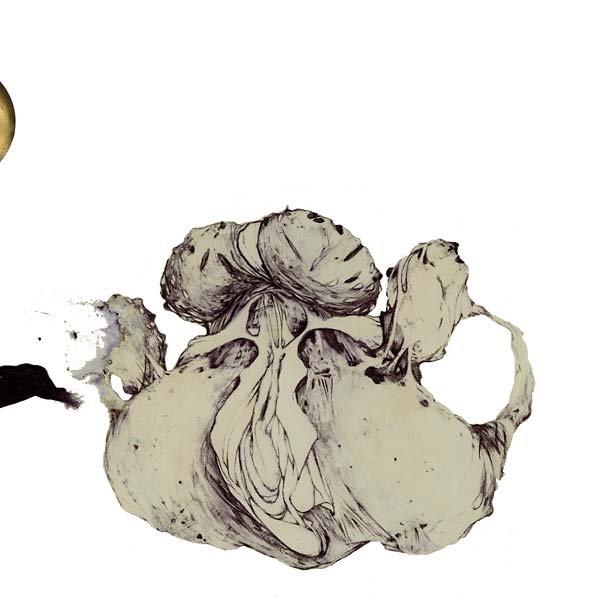 COIL | The Ape Of Naples - Vinyl
