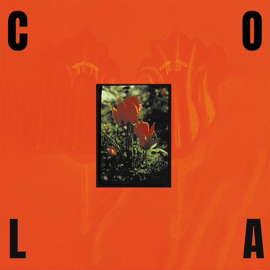 Cola | The Gloss (Indie Exclusive Transparent Olive Green Vinyl) - Vinyl