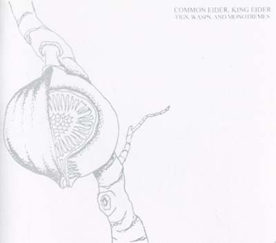COMMON EIDER, KING EIDER | Figs, Wasps, And Monotremes - CD