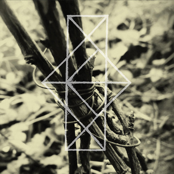 COMMON EIDER, KING EIDER | Shrines For The Unwanted, Respite For The Cast Aside - CD