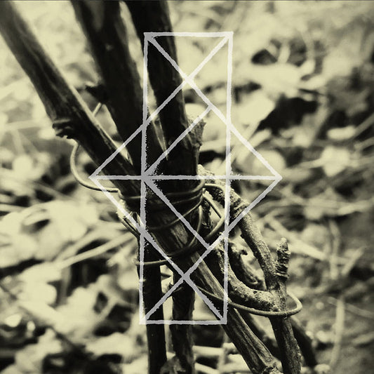 COMMON EIDER, KING EIDER | Shrines For The Unwanted, Respite For The Cast Aside - CD