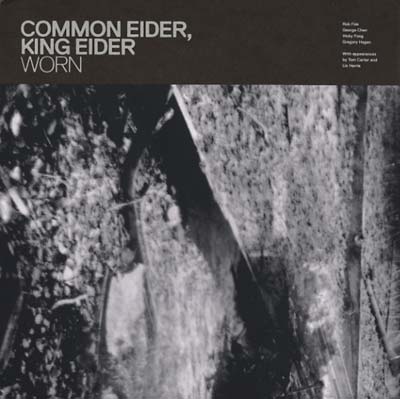 COMMON EIDER, KING EIDER | Worn - Vinyl