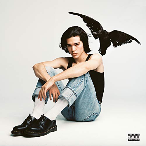 Conan Gray | Kid Krow [Explicit Content] - Vinyl