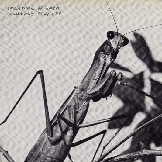 Courtney Barnett | Creature Of Habit (Indie Exclusive Caramel Vinyl) - Vinyl