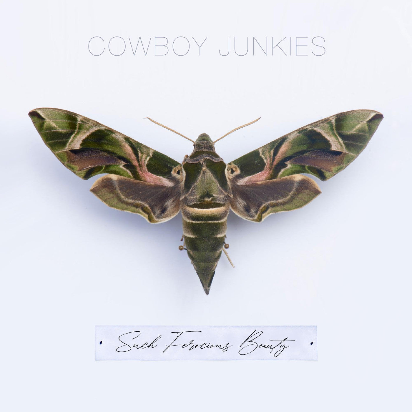 Cowboy Junkies | Such Ferocious Beauty (Green Translucent Vinyl) - Vinyl